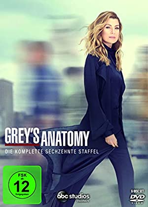 Grey's Anatomy: Die jungen Ärzte - Staffel 16 - Fuchsmarkt